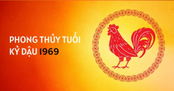 Tư vấn phong thủy xây nhà cho người tuổi kỷ dậu sinh năm 1969